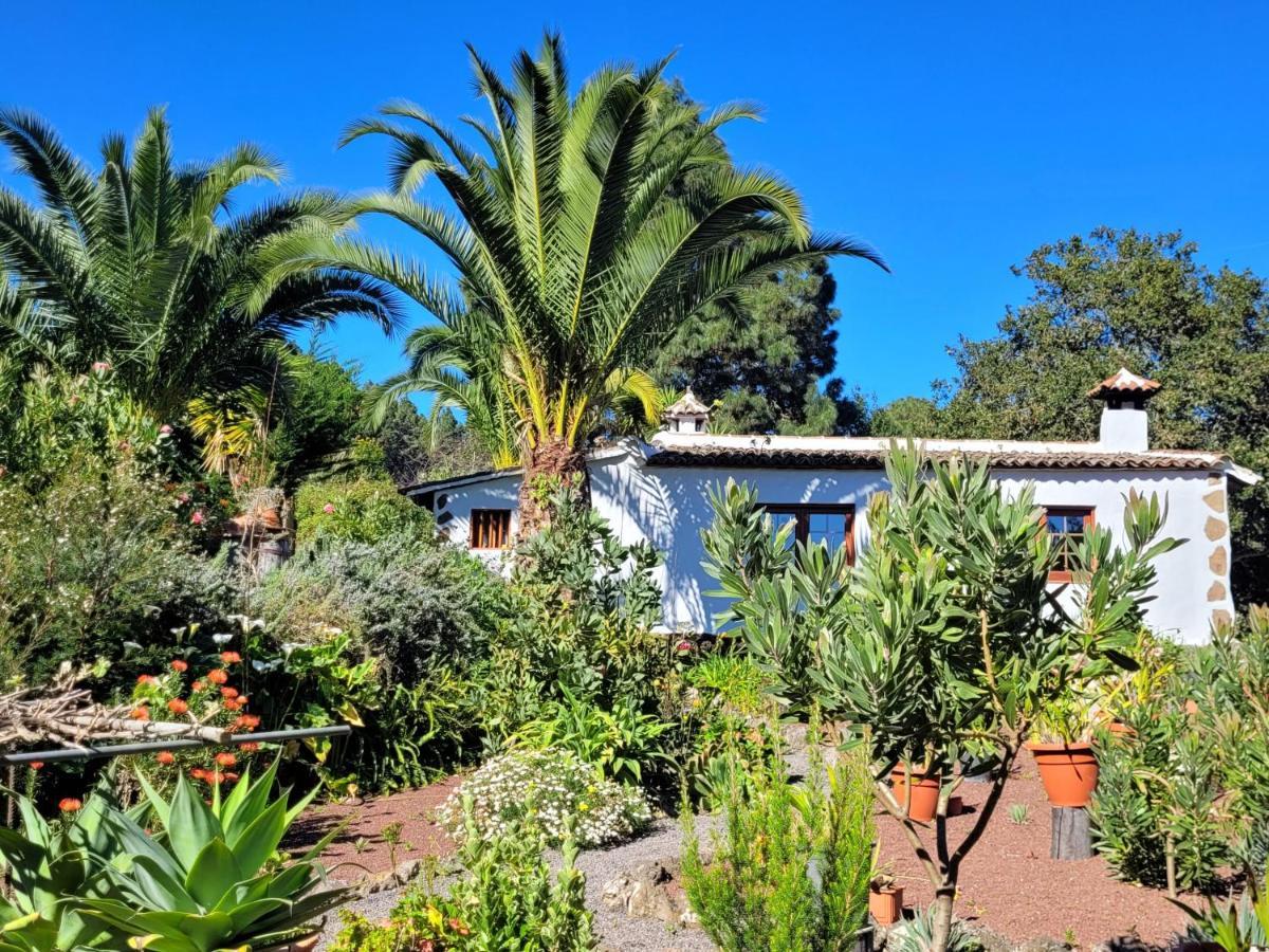 Llano De La Cebolla Landhaus Icod De Los Vinos