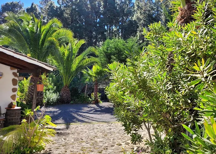 Finca Llano De La Cebolla