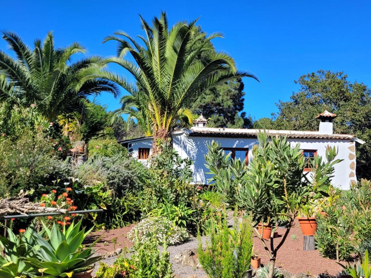 Séjour à la campagne Llano De La Cebolla Icod De Los Vinos