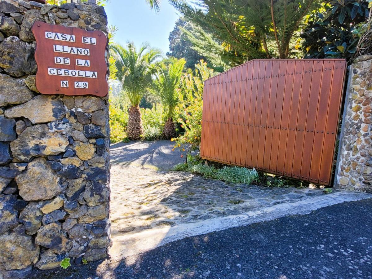 Llano De La Cebolla